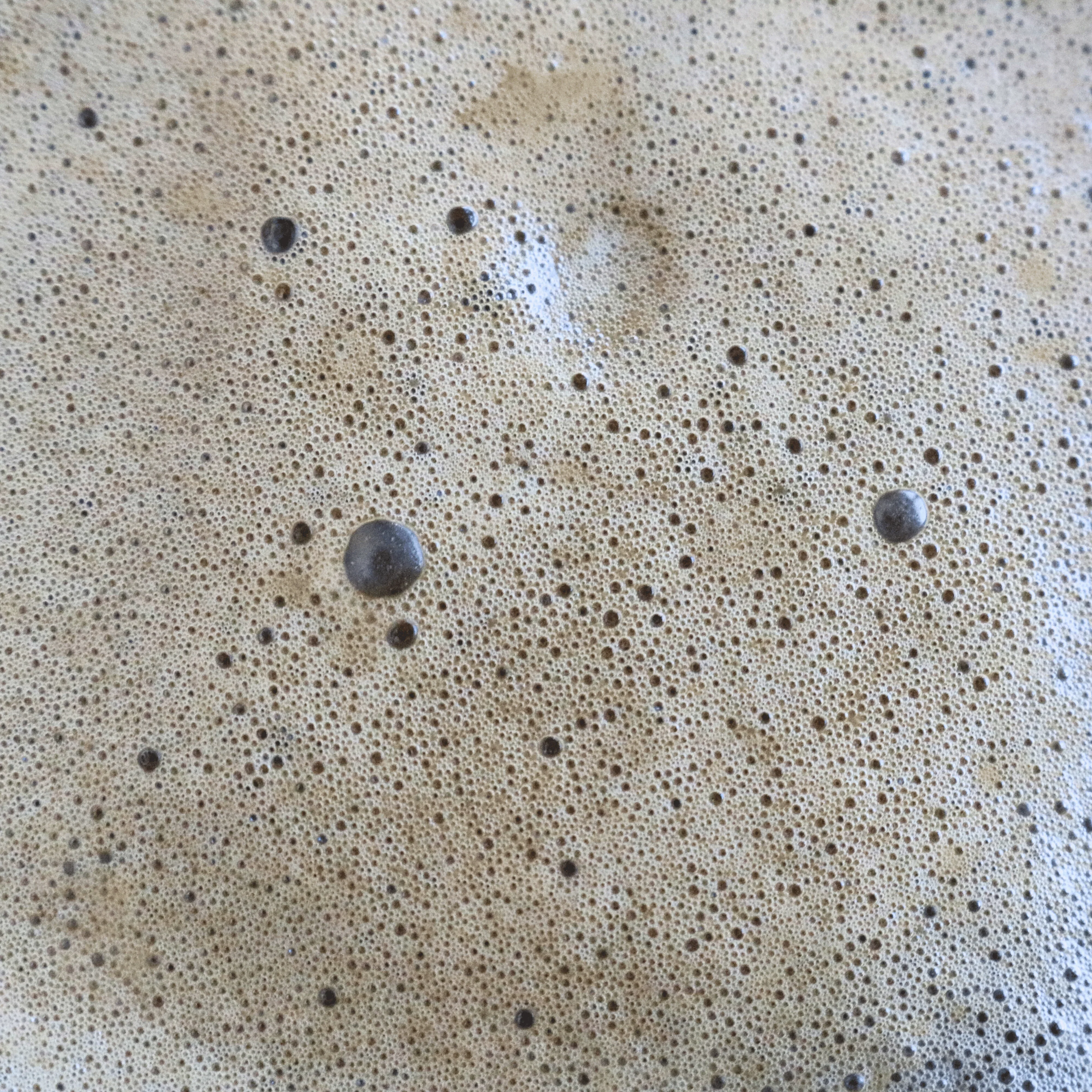 Emeri -  Hojicha - Image 3